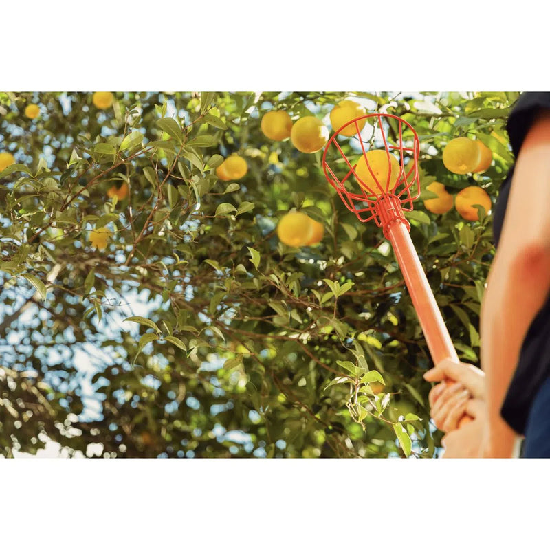 Carregue imagem no visualizador da galeriaColhedor de Frutas Médio Tramontina em Aço sem Cabo
